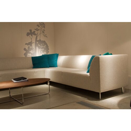 Montis Montis Fox bank