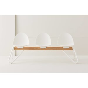 Segis Segis Camel Bank Segis Segis Camel Bank