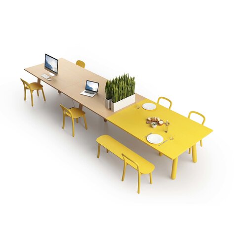 DUM DUM Beech Bench bank