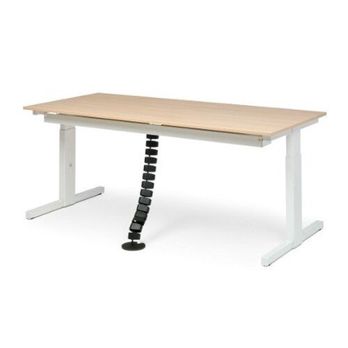 Bachmann Bachmann Cable Management Bachmann Bachmann Cable Management