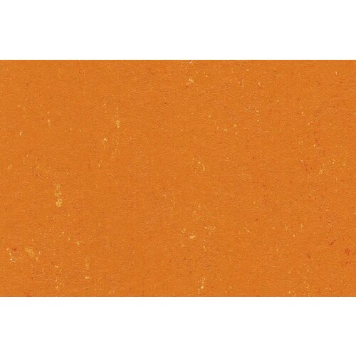 Gerflor Gerflor DLW Linoleum Colorette Acoustic Plus Neo Care akoestische vloerbedekking Gerflor Gerflor DLW Linoleum Colorette Acoustic Plus Neo Care akoestische vloerbedekking