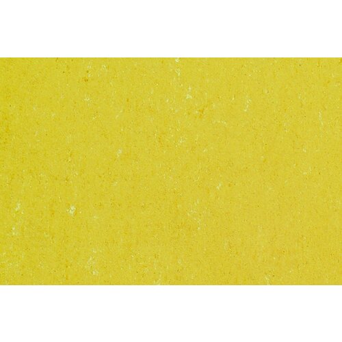 Gerflor Gerflor DLW Linoleum Colorette Acoustic Plus Neo Care akoestische vloerbedekking Gerflor Gerflor DLW Linoleum Colorette Acoustic Plus Neo Care akoestische vloerbedekking