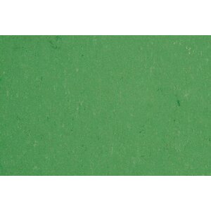 Gerflor Gerflor DLW Linoleum Colorette Neo Care vloerbedekking Gerflor Gerflor DLW Linoleum Colorette Neo Care vloerbedekking