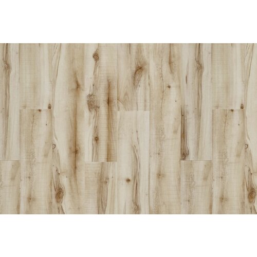 Moduleo Moduleo Transform Cotton Wood vinyl planken