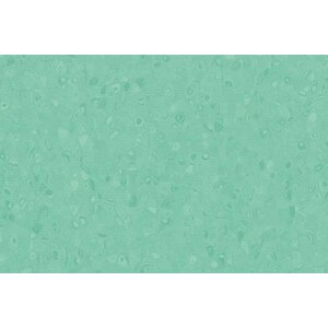 Forbo Flooring Forbo Flooring Sphera Element homogeen vinyl vloer