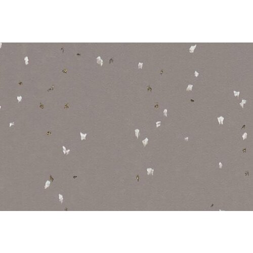 Forbo Flooring Forbo Flooring Sphera Evolution homogeen vinyl vloer