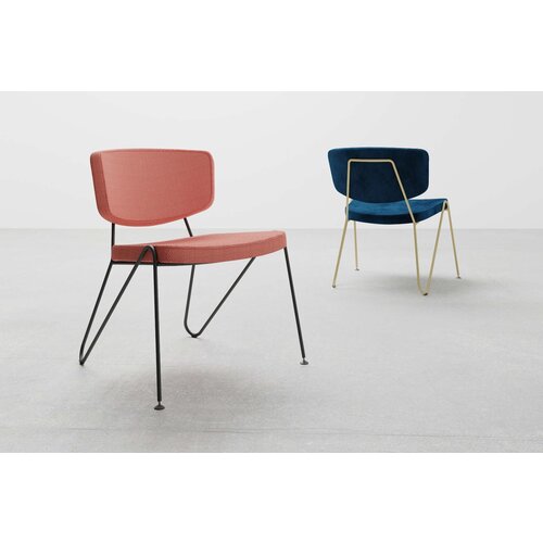 Neil David Neil David F1 fauteuil Neil David Neil David F1 fauteuil