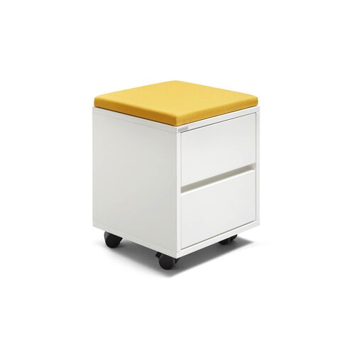 Palmberg Palmberg Apothekers kasten en ladeblokken