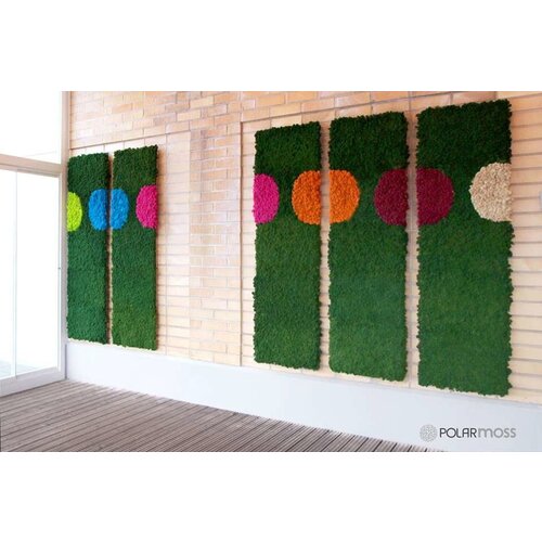 Draumr Draumr Polarmoss Flex Elements groene wanden Draumr Draumr Polarmoss Flex Elements groene wanden