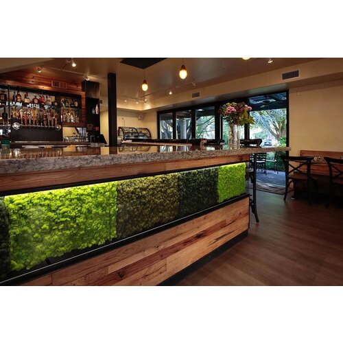 Draumr Draumr Polarmoss Flex Elements groene wanden Draumr Draumr Polarmoss Flex Elements groene wanden