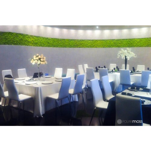 Draumr Draumr Polarmoss Flex Elements groene wanden Draumr Draumr Polarmoss Flex Elements groene wanden