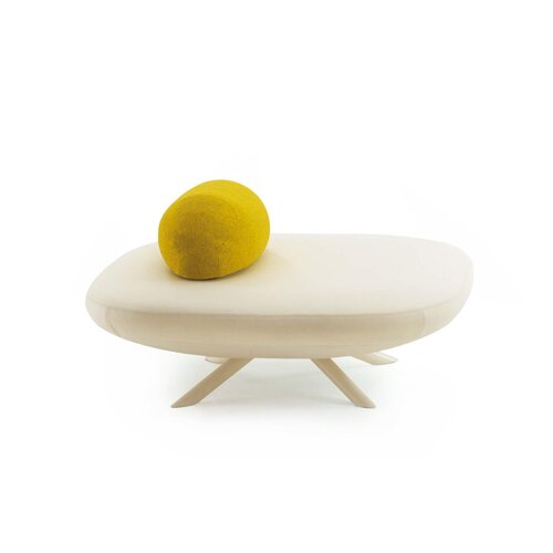 Segis Segis Flores ziteilanden