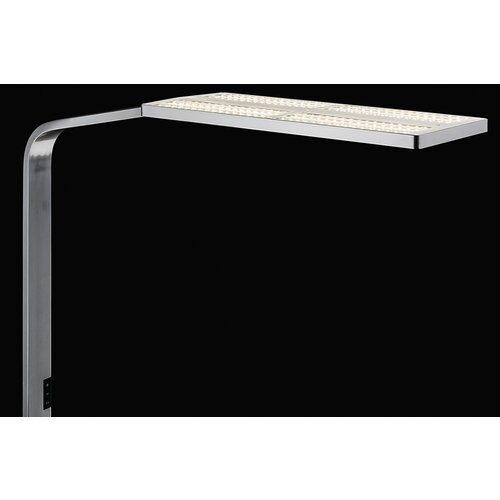 Nimbus Nimbus Force One