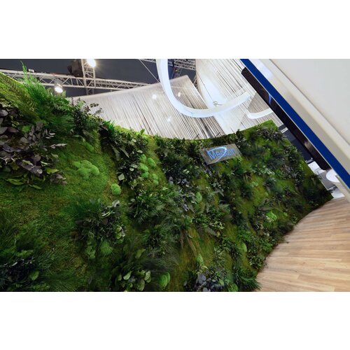 Draumr Draumr Polarmoss Green Walls