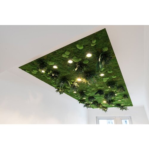 Draumr Draumr Polarmoss Green Walls