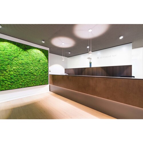 Draumr Draumr Polarmoss Green Walls