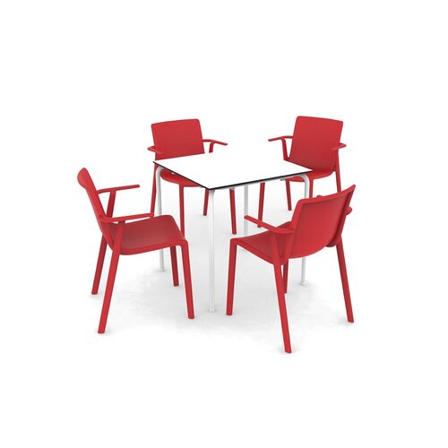 Resol Resol Kat stoel Resol Resol Kat stoel