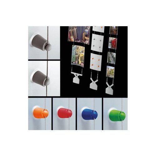 Caimi Caimi Koala brochurestandaard Caimi Caimi Koala brochurestandaard