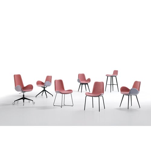 Midj Midj Dalia kruk