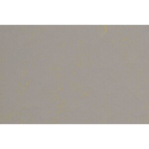 Gerflor Gerflor DLW Linoleum Lino Art Urban Neo Care linoleum vloerbedekking Gerflor Gerflor DLW Linoleum Lino Art Urban Neo Care linoleum vloerbedekking