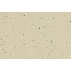 Forbo Flooring Forbo Flooring Marmoleum Solid Cocoa linoleum vloerbedekking Forbo Flooring Forbo Flooring Marmoleum Solid Cocoa linoleum vloerbedekking