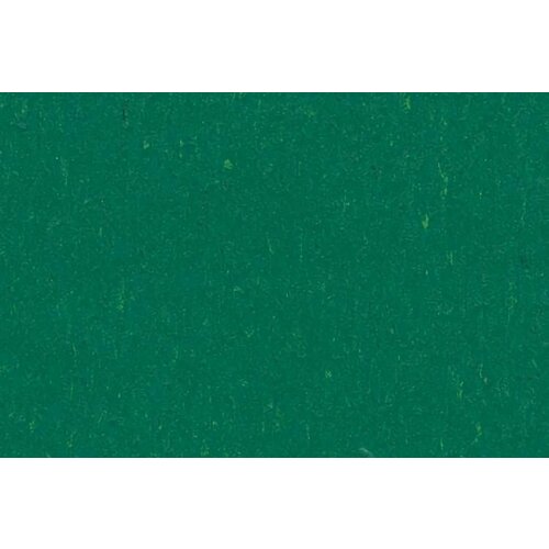 Forbo Flooring Forbo Flooring Marmoleum Solid Piano linoleum vloerbedekking Forbo Flooring Forbo Flooring Marmoleum Solid Piano linoleum vloerbedekking