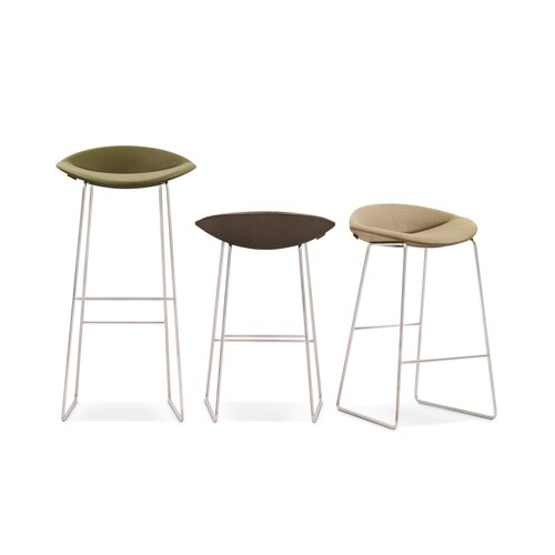 Montis Montis Mick barkruk Montis Montis Mick barkruk