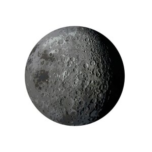 Donkersloot Donkersloot Moon karpet | vloerkleed