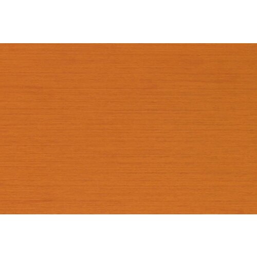 Shaw Shaw Pigment pvc strook | plank