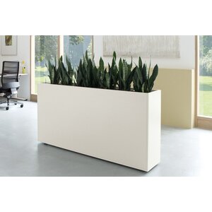 Palmberg Palmberg Plantenbak