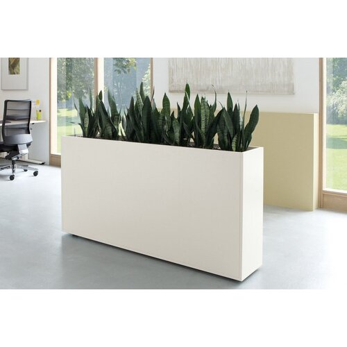 Palmberg Palmberg Plantenbak