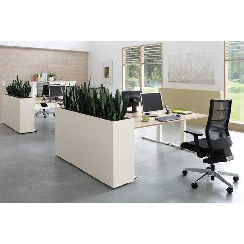 Palmberg Palmberg Plantenbak