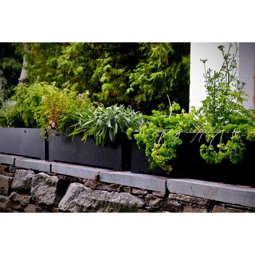 Loll Designs Loll Designs Planters