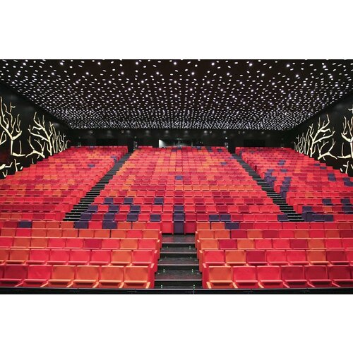 Dynamobel Dynamobel Prima zaalstoel Dynamobel Dynamobel Prima zaalstoel