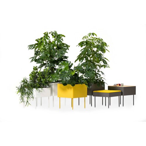 Cascando Cascando Rombo plantenbak Cascando Cascando Rombo plantenbak