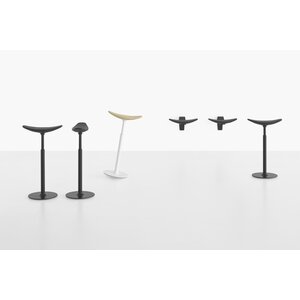 Lapalma Lapalma Ryo kruk