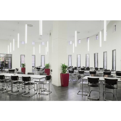 Thonet Thonet S43 Thonet Thonet S43