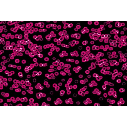 Forbo Flooring Forbo Flooring Flotex Sottsass geprint tapijt Forbo Flooring Forbo Flooring Flotex Sottsass geprint tapijt