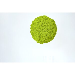 Draumr Draumr Polarmoss Sphere