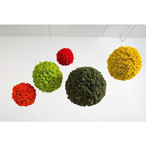 Draumr Draumr Polarmoss Sphere