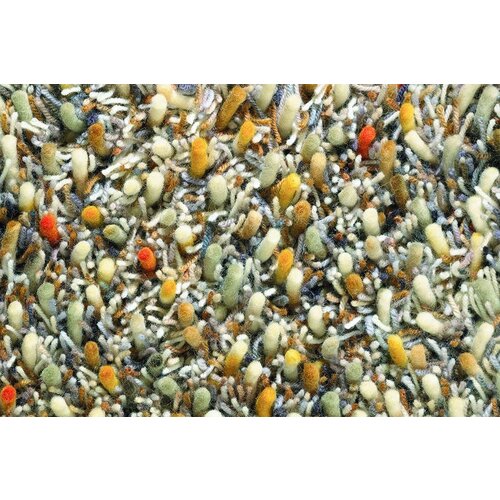 Brink & Campman Brink & Campman Spring vloerkleed Brink & Campman Brink & Campman Spring vloerkleed