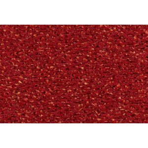 Carpet Concept Carpet Concept Concept 503 tapijt Carpet Concept Carpet Concept Concept 503 tapijt