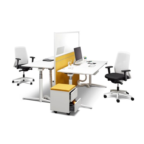 Palmberg Palmberg Caldo Palmberg Palmberg Caldo