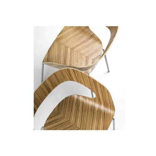 PlyCollection PlyCollection Chat Stoel