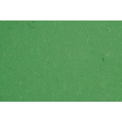 Gerflor Gerflor DLW Linoleum Colorette Neo Care vloerbedekking