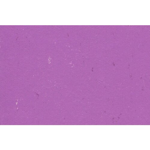 Gerflor Gerflor DLW Linoleum Colorette Neo Care vloerbedekking