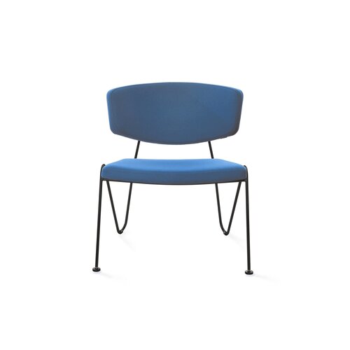Neil David Neil David F1 fauteuil