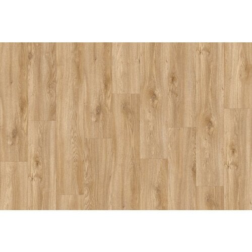 IVC Moduleo IVC Moduleo 55 LVT Impressive Sierra Oak vinyl vloeren