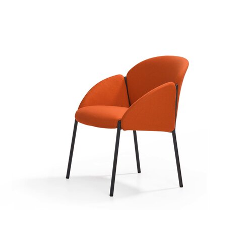 Artifort Artifort Andrea Stoel Artifort Artifort Andrea Stoel