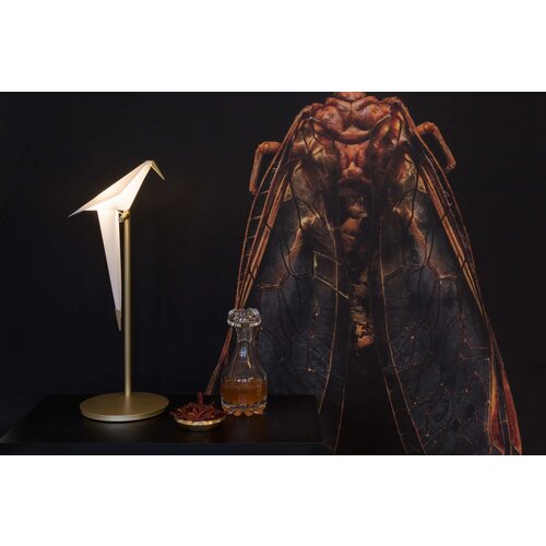 Moooi Moooi Perch Light Table tafellamp